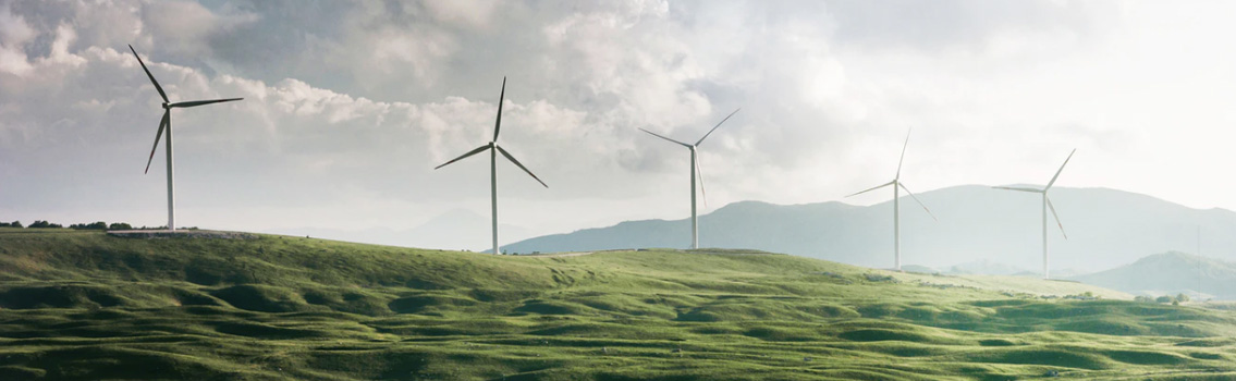 energy_lawyers